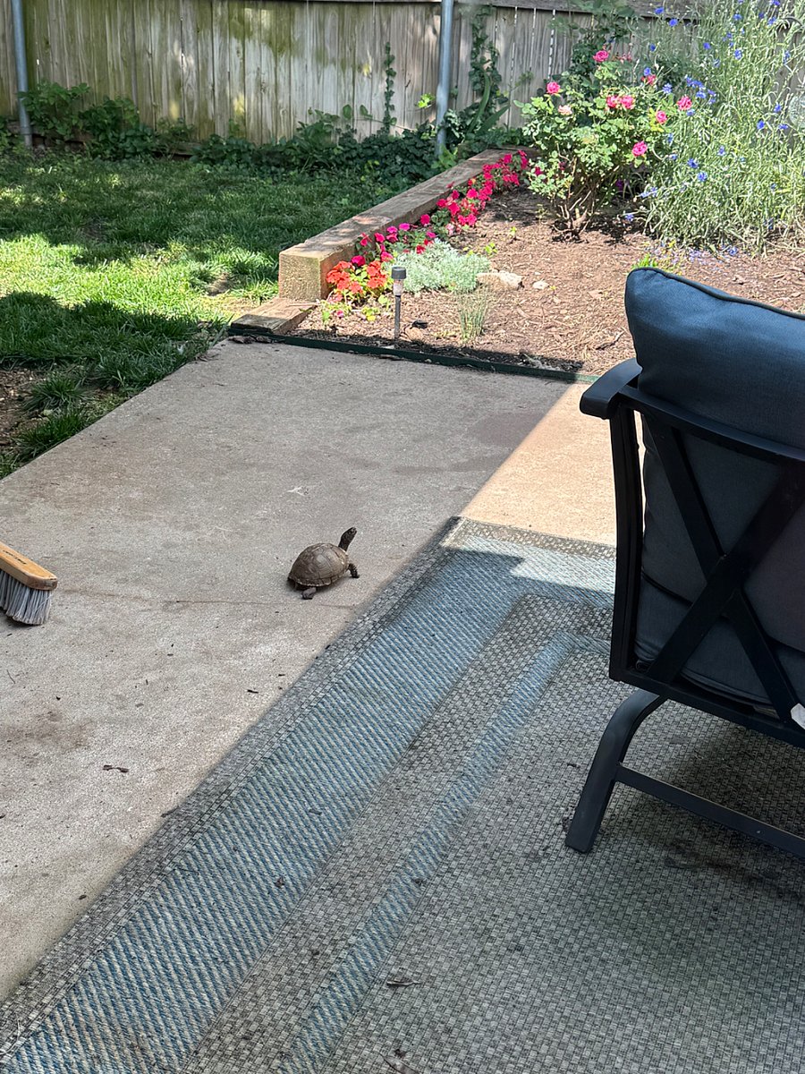 Furnished Finder property 718539_1 photo 28