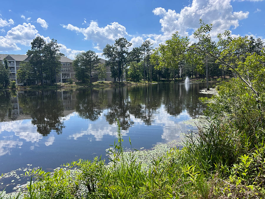 Furnished Finder property 718628_1 photo 22