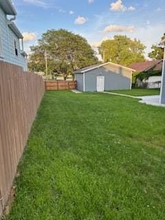 Back yard