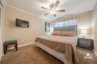 Furnished Finder property 718692_1 photo 3