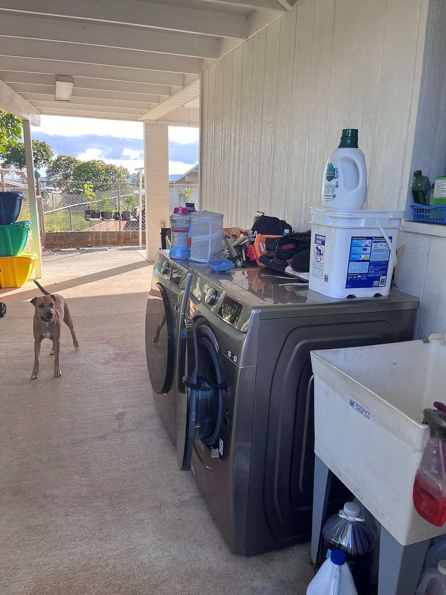 Full Size Washer and Dryer on Property.
(SS)