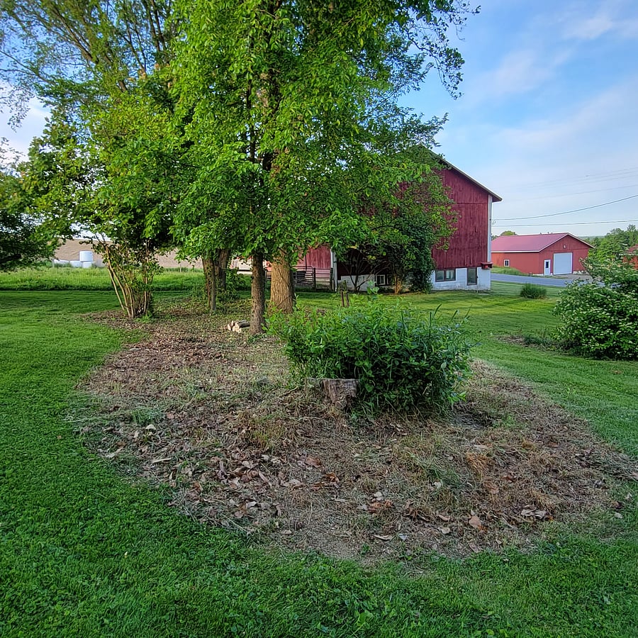 Furnished Finder property 718779_1 photo 2