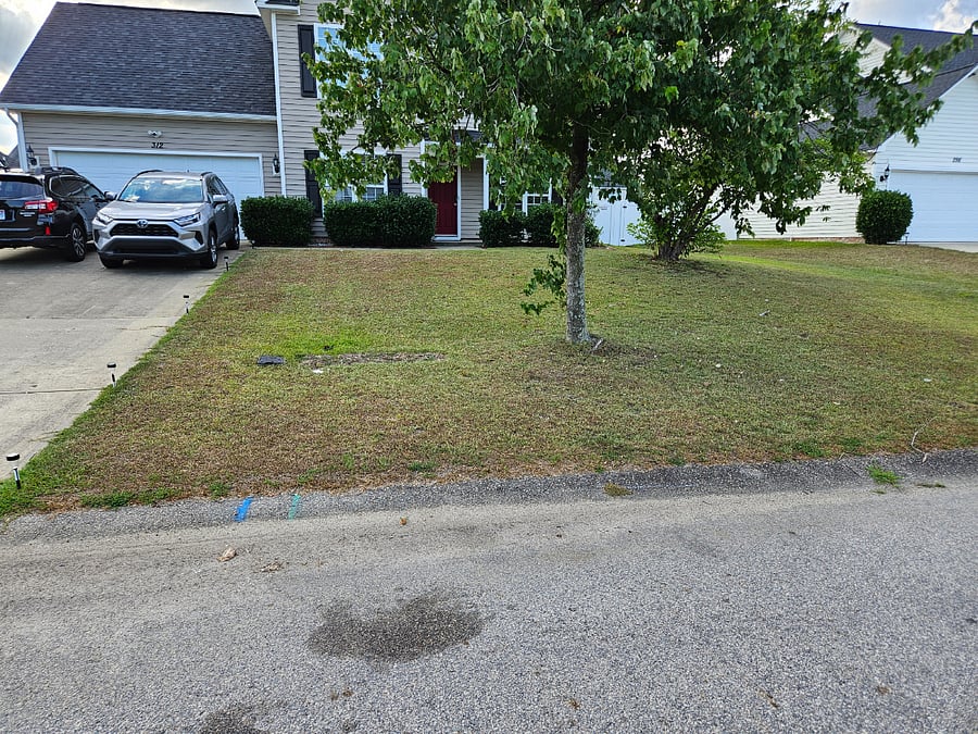 Furnished Finder property 718807_1 photo 8