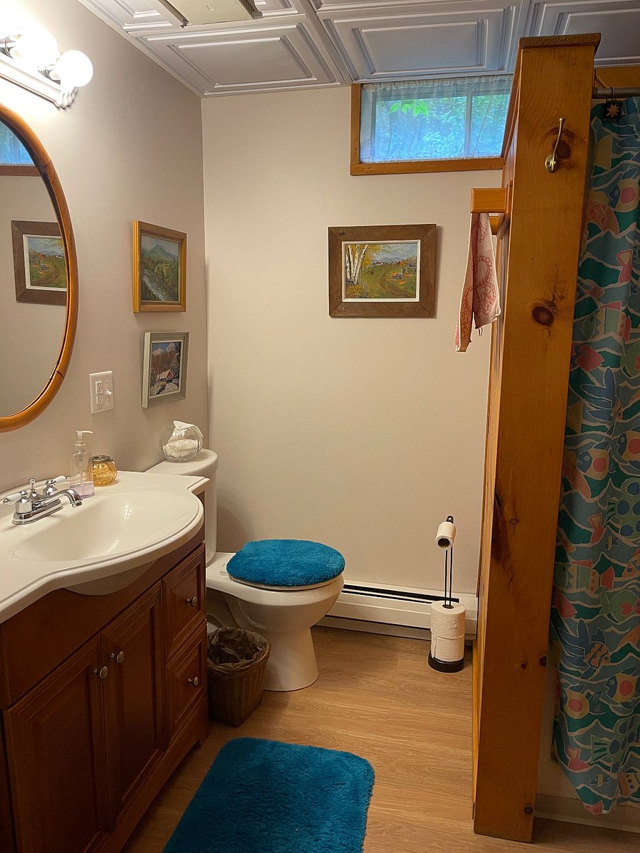 Downstairs bathroom