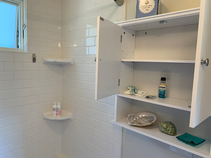 Bathroom cabinet lightly stocked with starter items