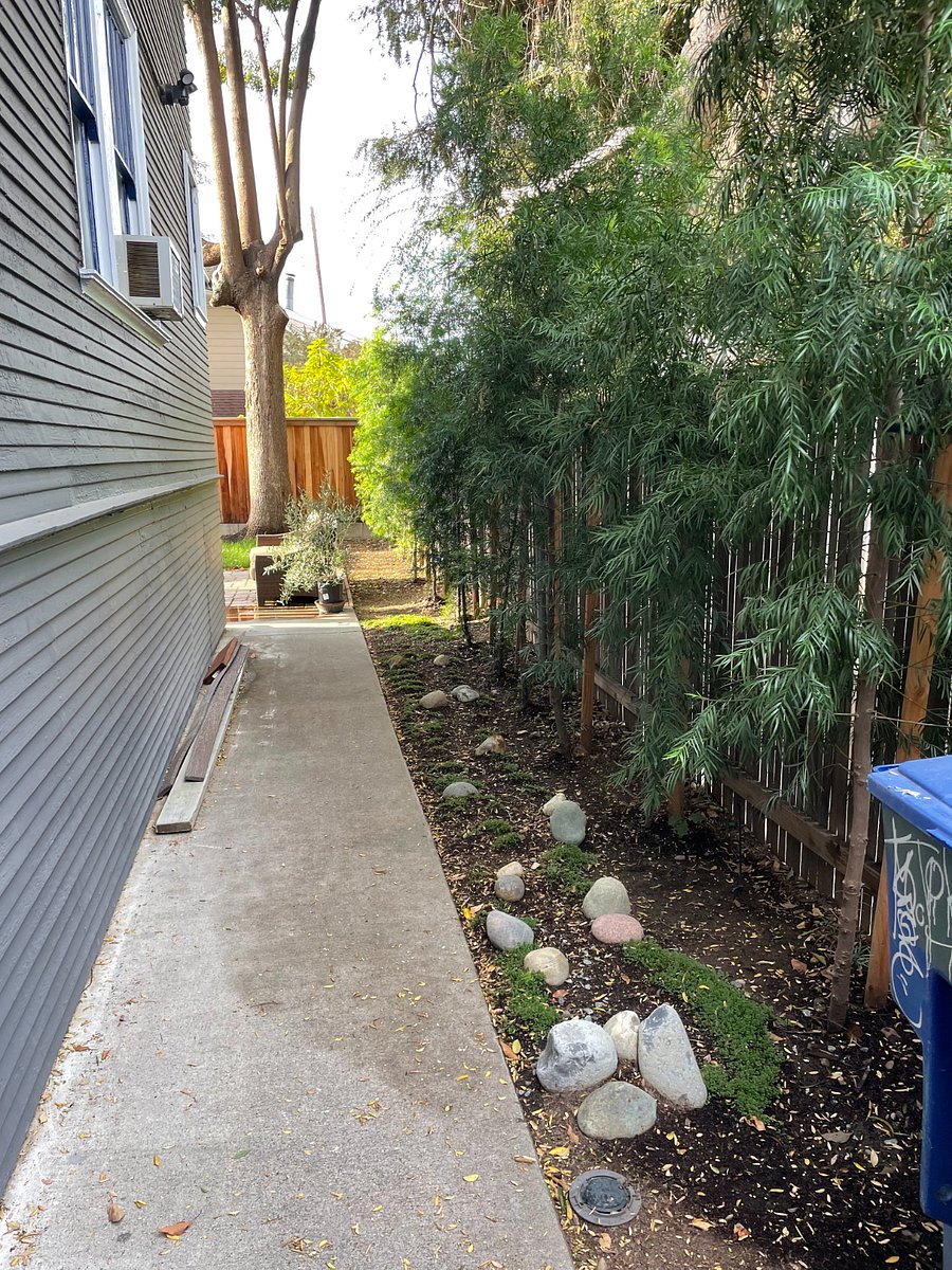Side Yard