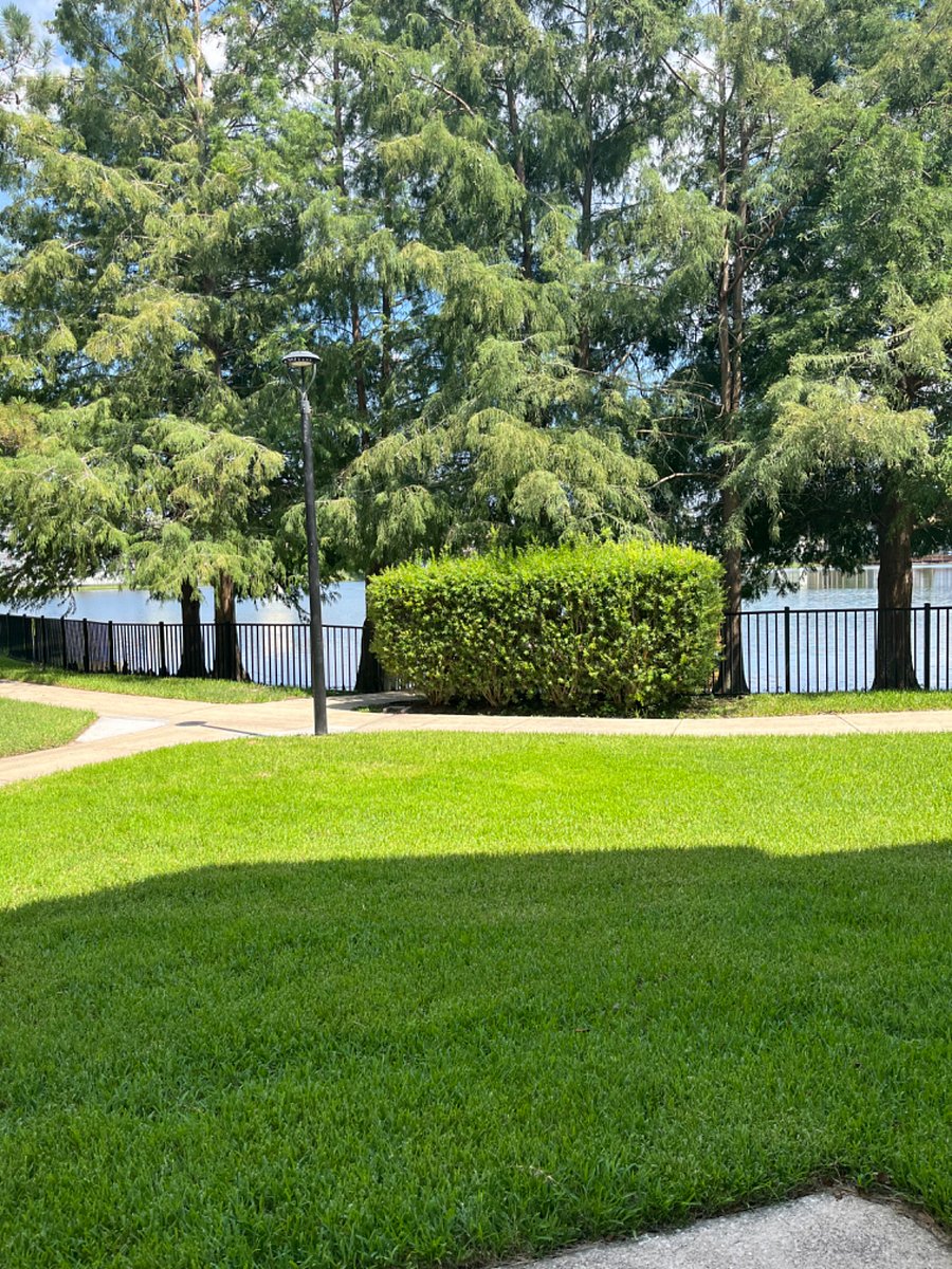 Furnished Finder property 719164_1 photo 10