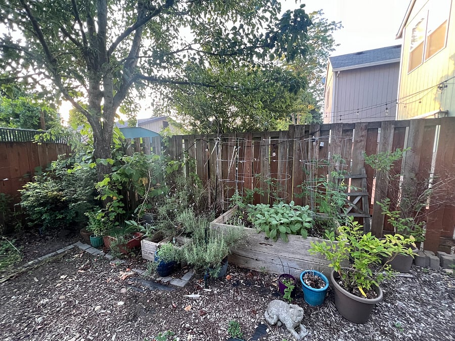 Outdoor herb garden and yard space
