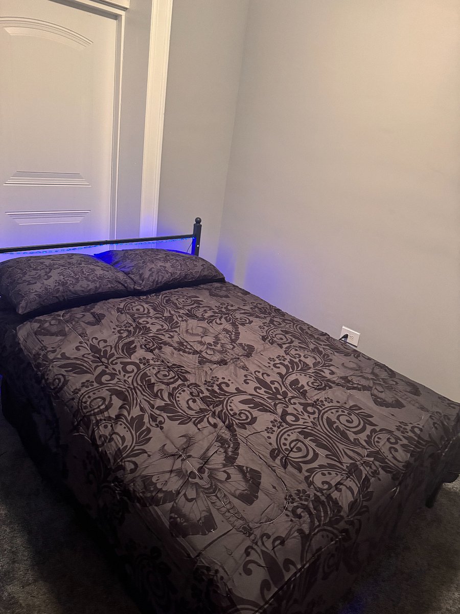 Furnished Finder property 719202_1 photo 11