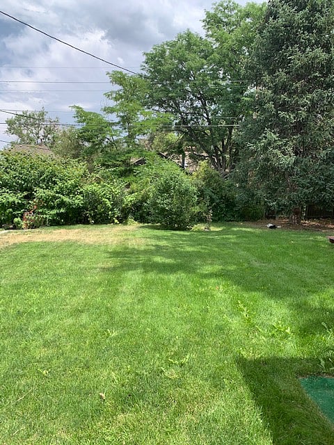 Zen & Green Backyard.