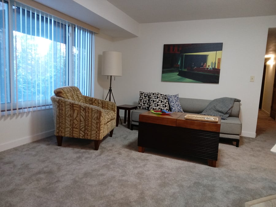 Den / Living Room Area