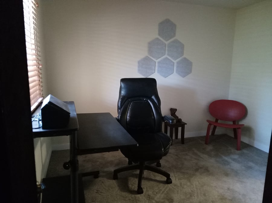 Office with adjustable standup/sitting desk, window with great view (has deck overhang so you will not get direct sunlight behind your monitor, new desk chair and a guest Froset designer chair and small table.