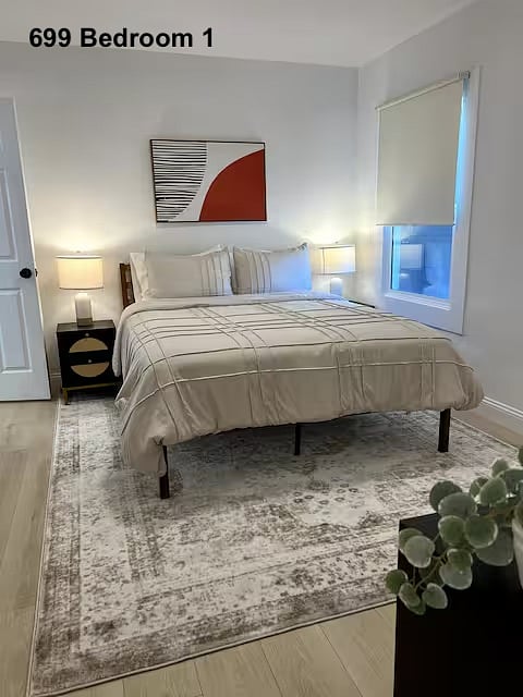 699 (downstairs) - Master bedroom, A/C, heater