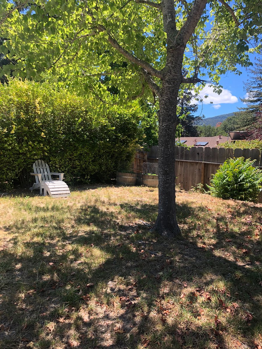 Furnished Finder property 720175_1 photo 4
