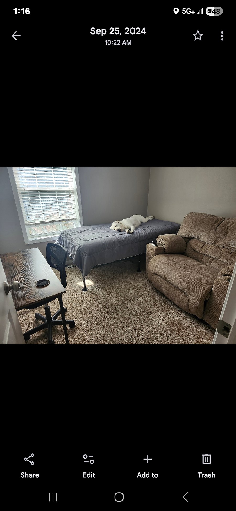 Furnished Finder property 720186_1 photo 19