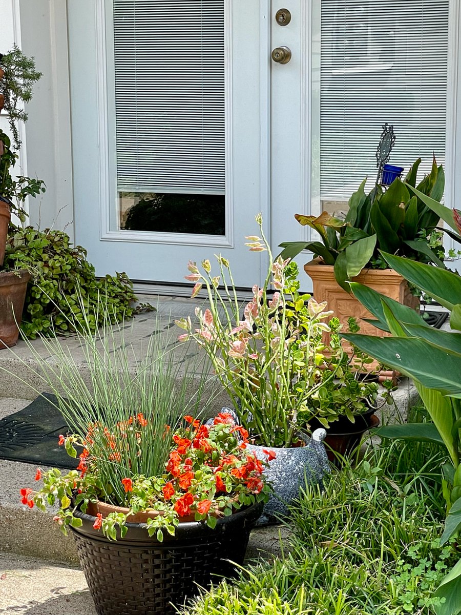 Charming touches throughout the community with greenery and thoughtfully kept surroundings.