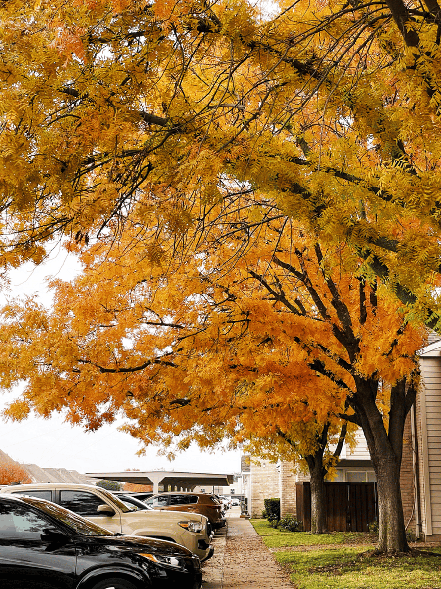 Guess parking within the community, surrounded by seasonal foliage. Resident covered parking included.