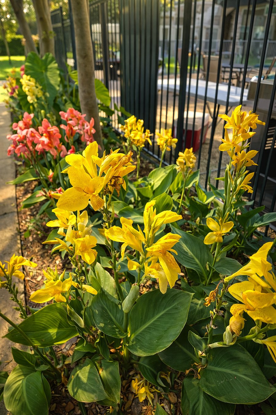 Different season we have different flowers for you.