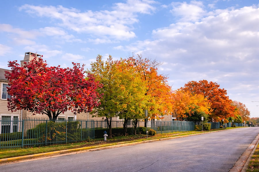 A quiet, tree-lined street just steps from the home, where autumn brings a beautiful display of colorful foliage. As the leaves turn, the entire neighborhood feels warm, calm, and invitinglike a scene youll enjoy coming back to every day.