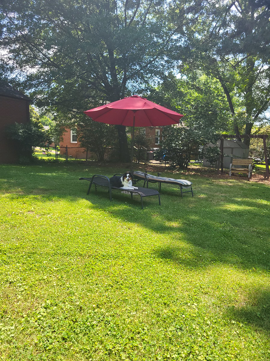 Furnished Finder property 720243_1 photo 7