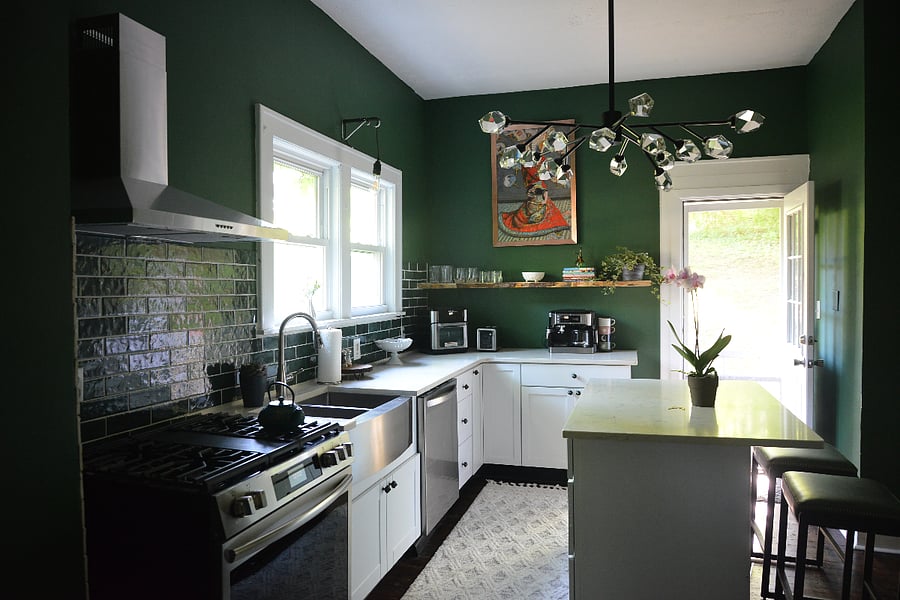 Completely remodeled and upgraded kitchen (2025) Back door entrance to patio and backyard. 