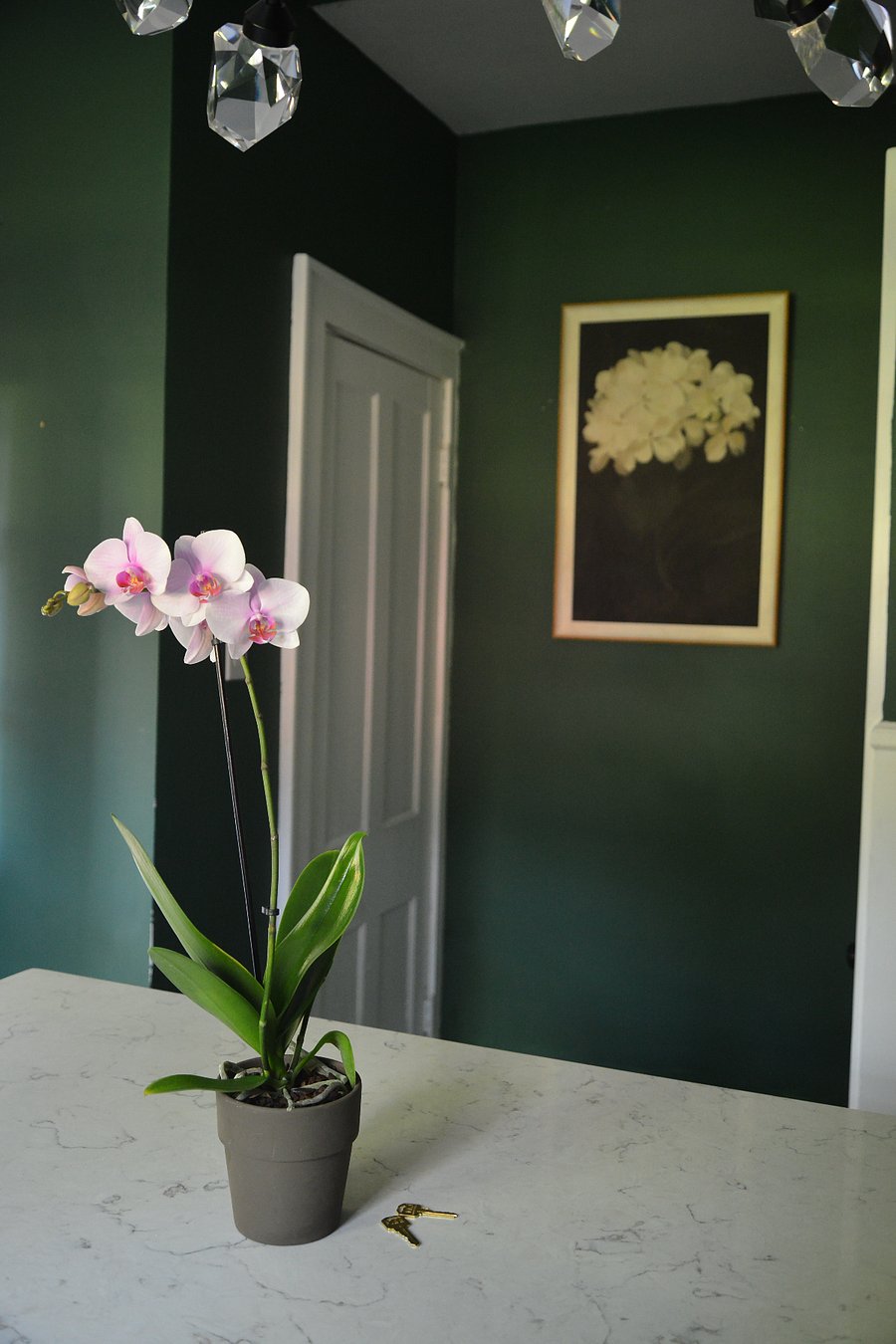 Furnished Finder property 720290_2 photo 6