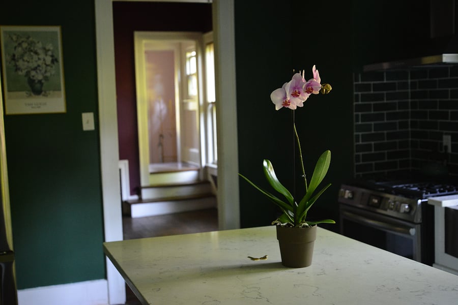 Furnished Finder property 720290_2 photo 10