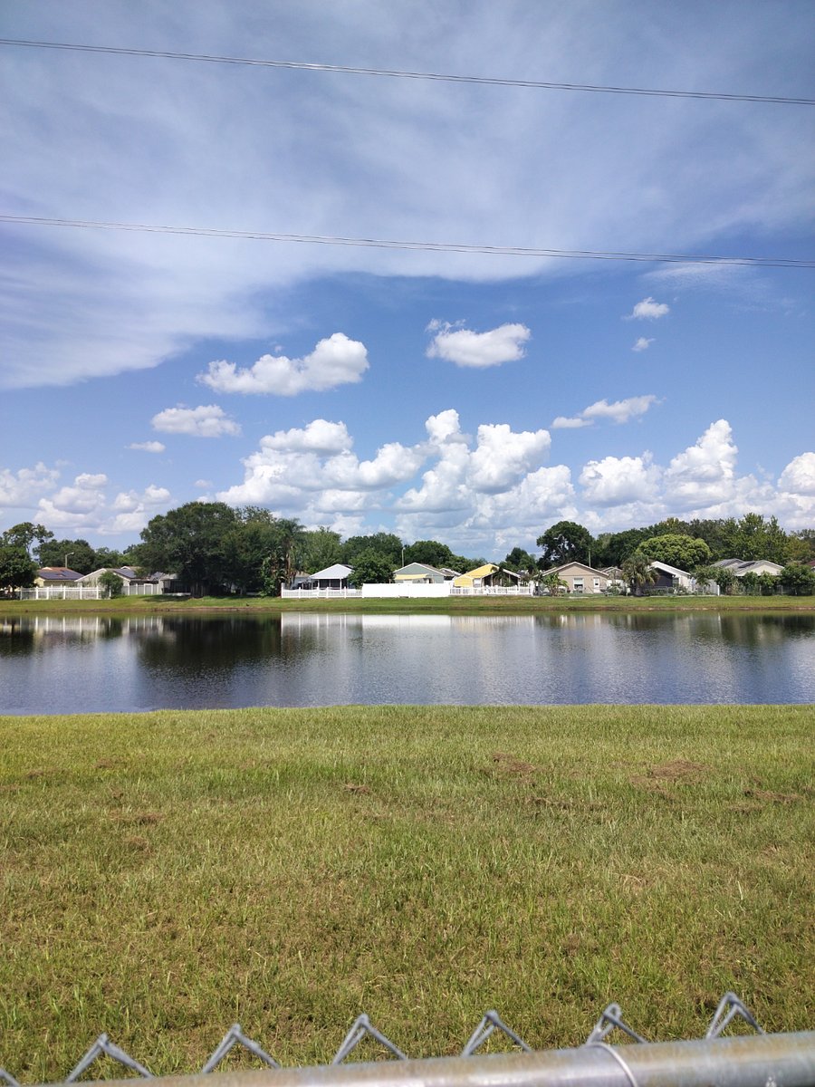 Backyard water pond view