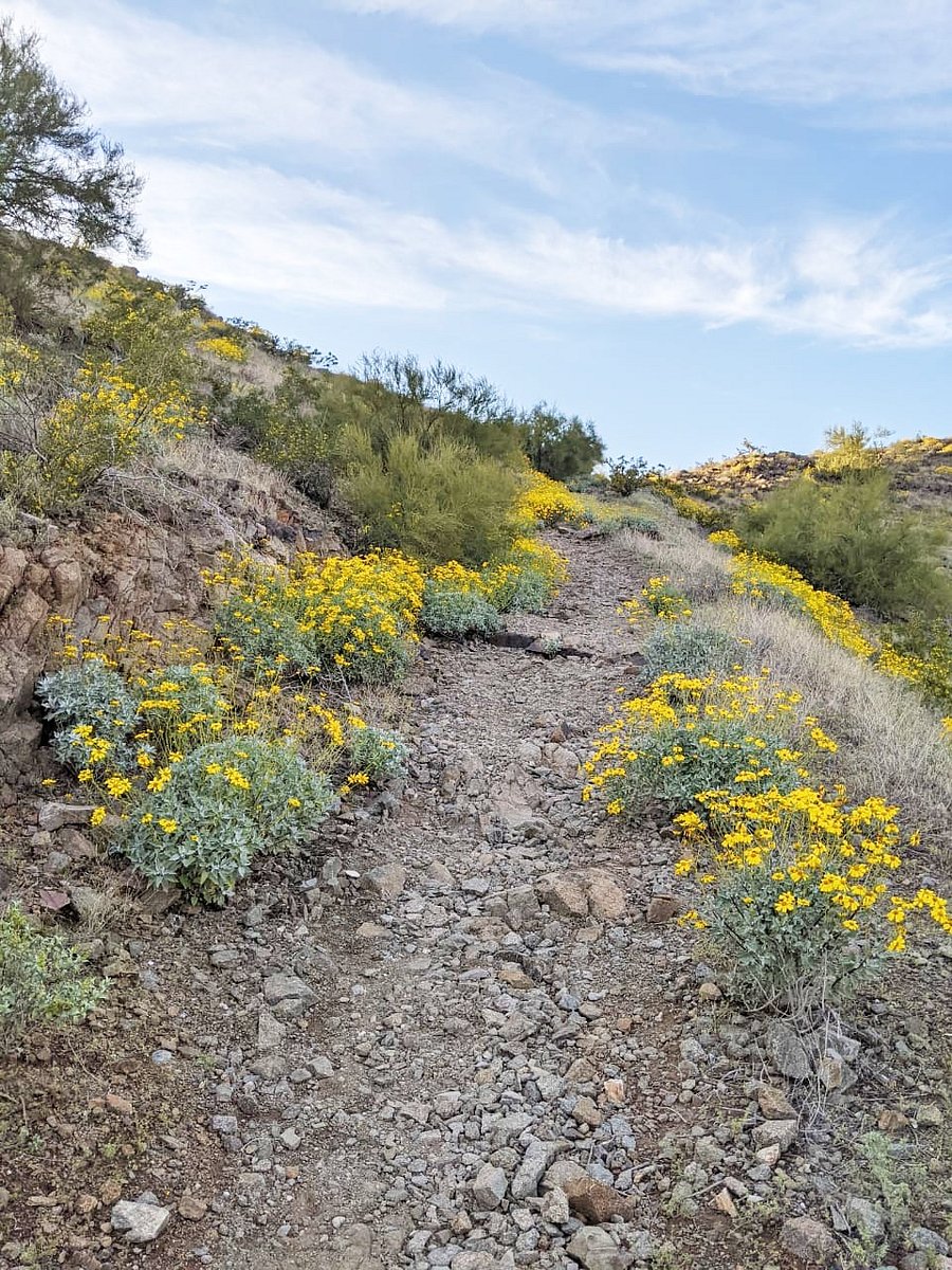Hundreds of miles of trails just steps from the complex