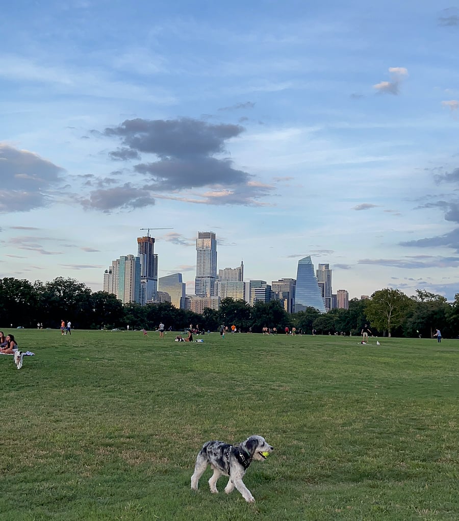 9-min drive from Zilker Park