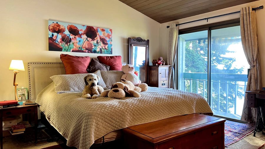 Furnished Finder property 720815_1 photo 12