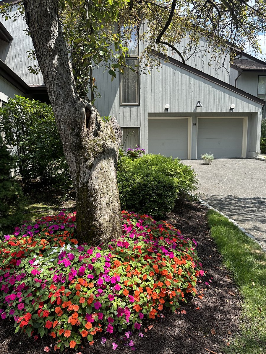 Furnished Finder property 720925_1 photo 20
