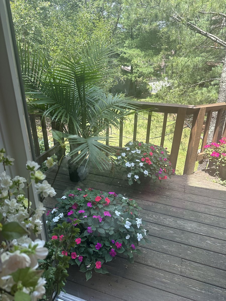Furnished Finder property 720925_1 photo 15