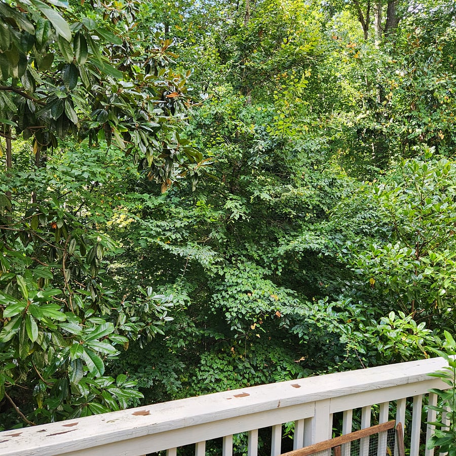 Furnished Finder property 720932_1 photo 9