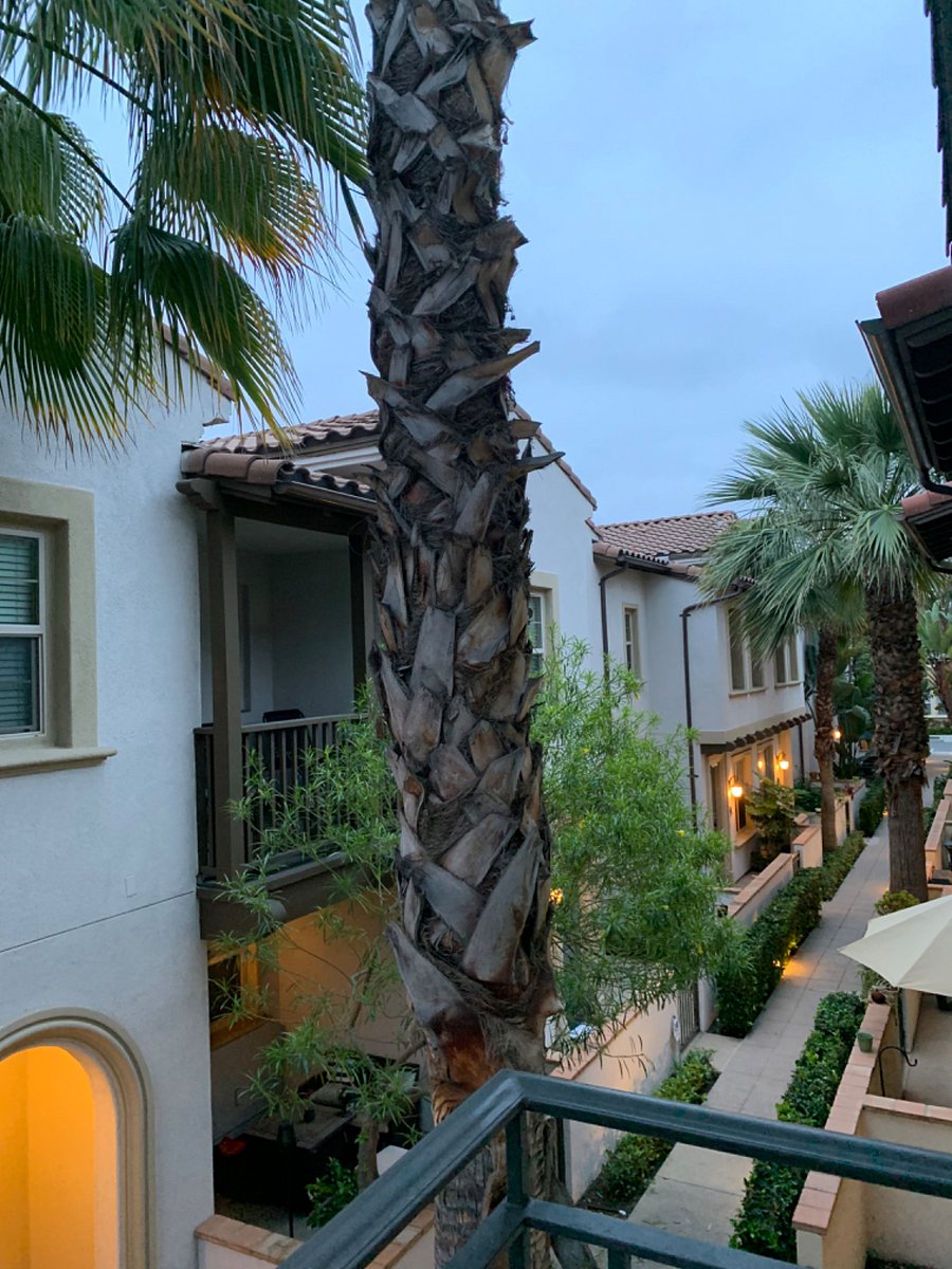 Furnished Finder property 720955_1 photo 11