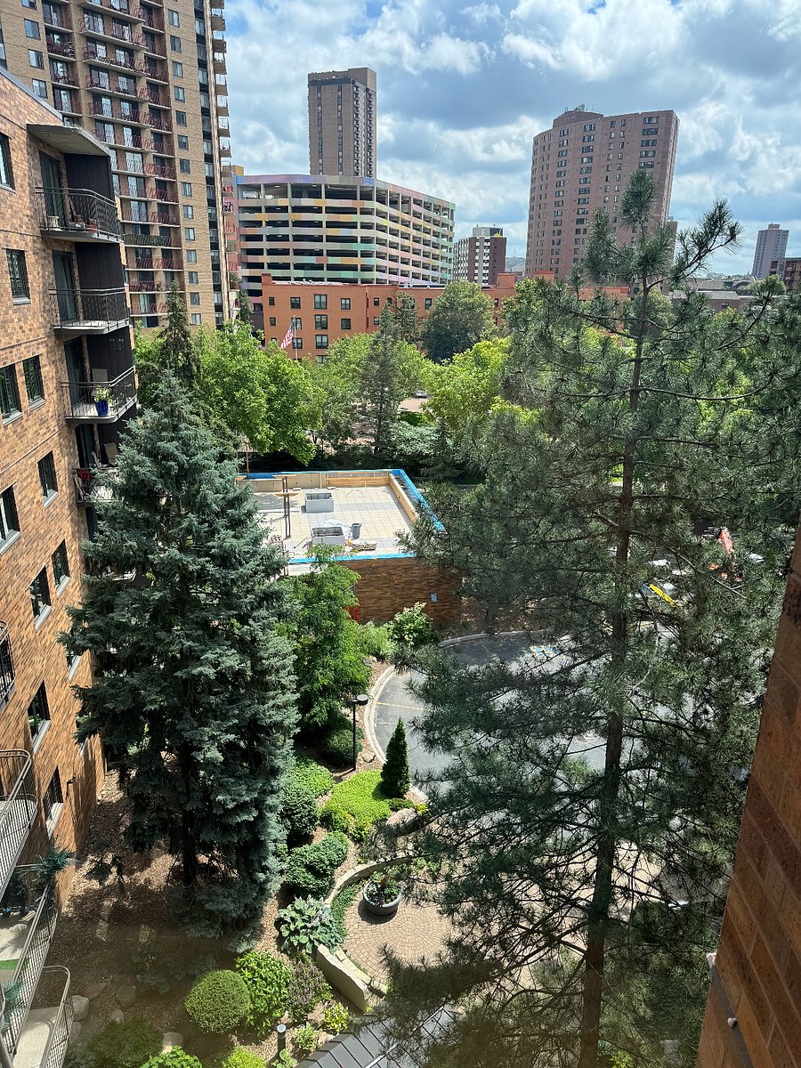 Shared sundeck. Gardens, lounge chairs, hang out area surrounded by mature trees.