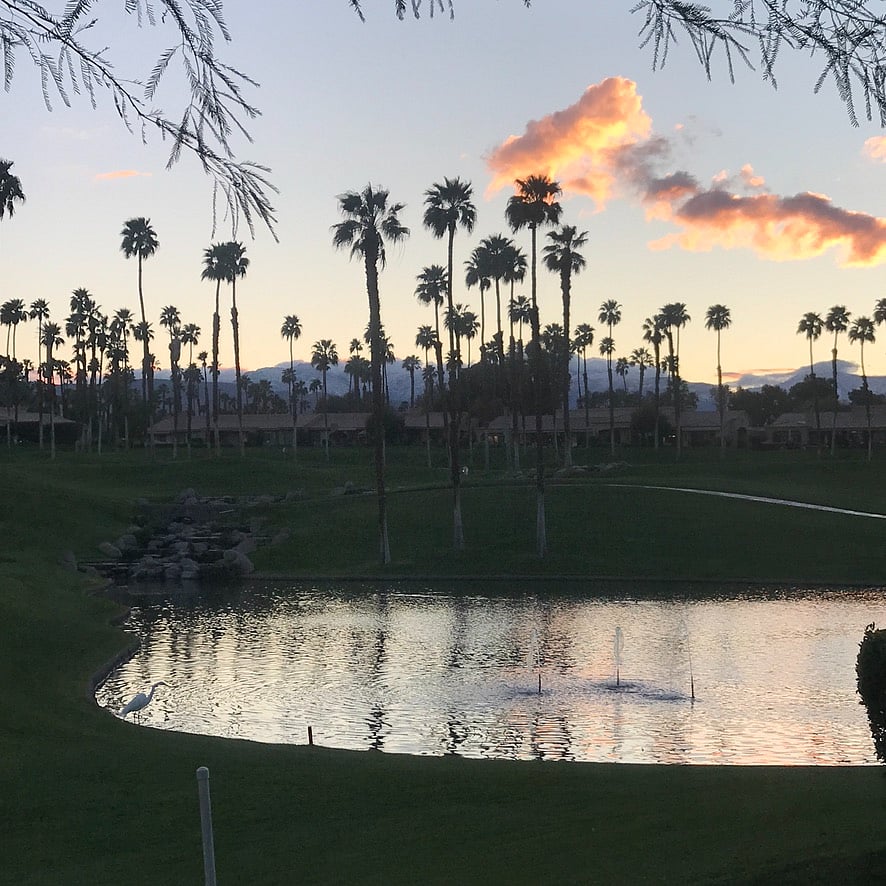 View from patio at sunset