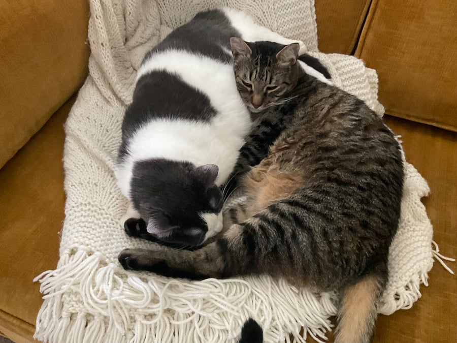 Lila & Buddy