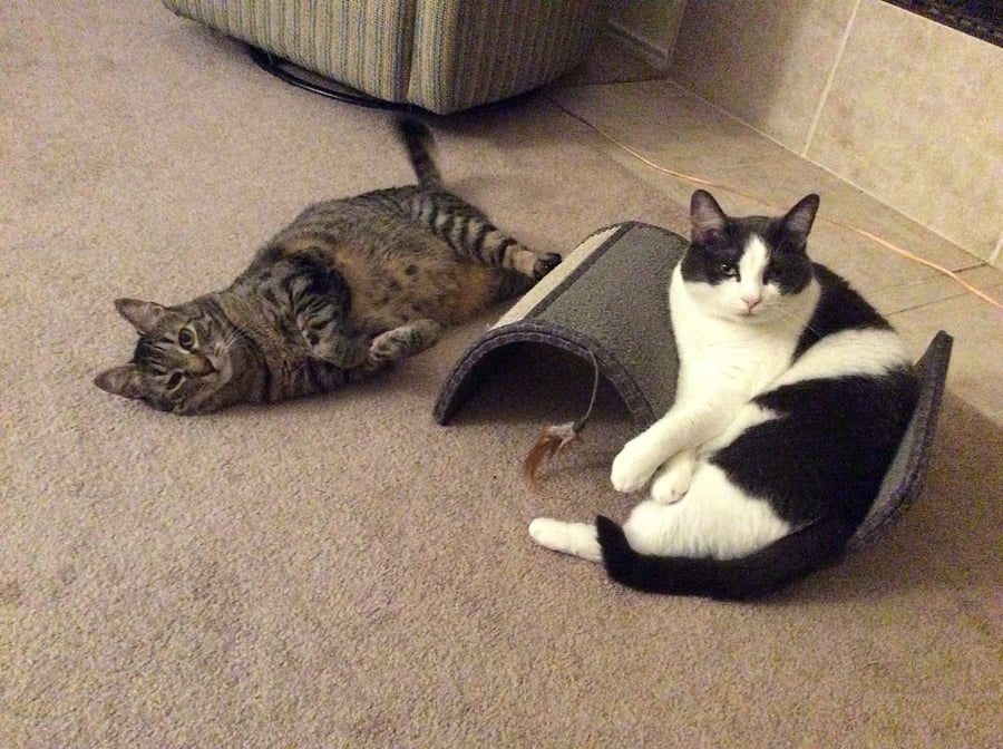 Buddy & Lila