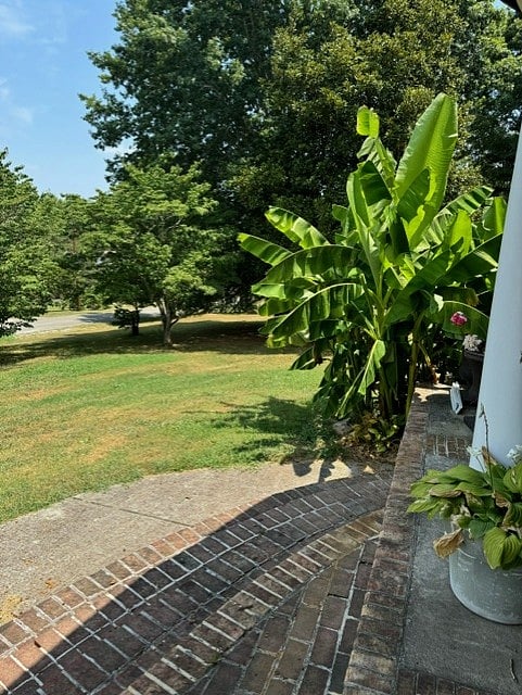Furnished Finder property 721300_1 photo 28