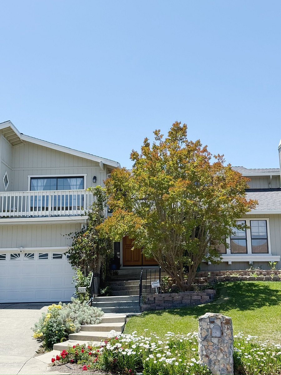 Furnished Finder property 721443_3 photo 46