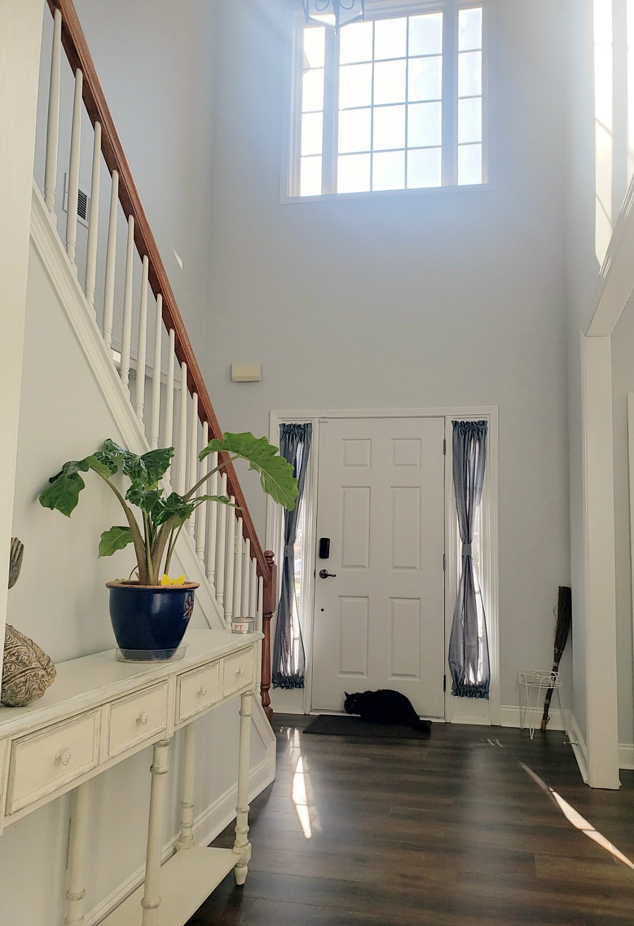 Common area: Foyerd