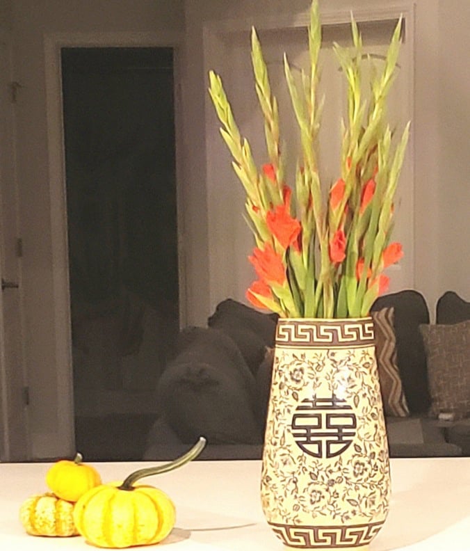 Furnished Finder property 721500_1 photo 13