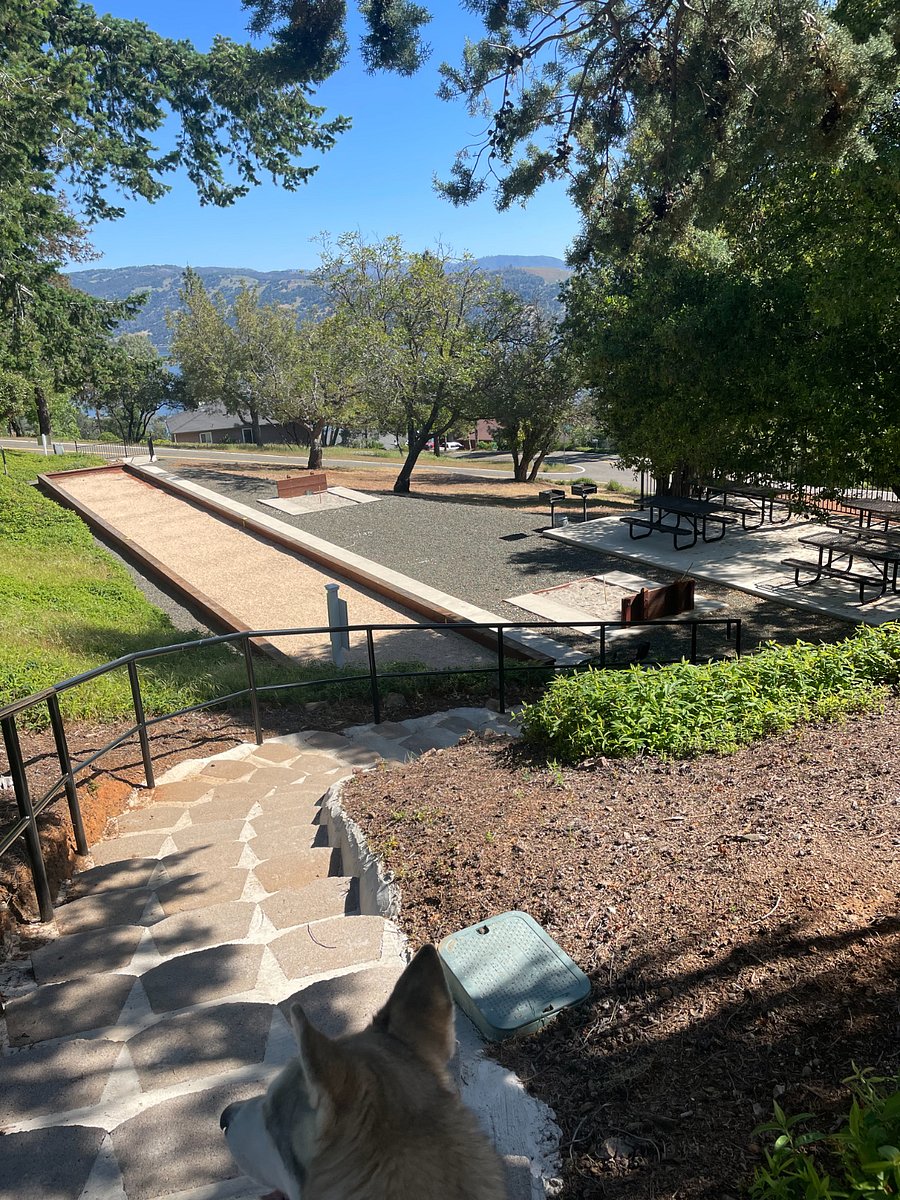 BBQ and BOCCE area