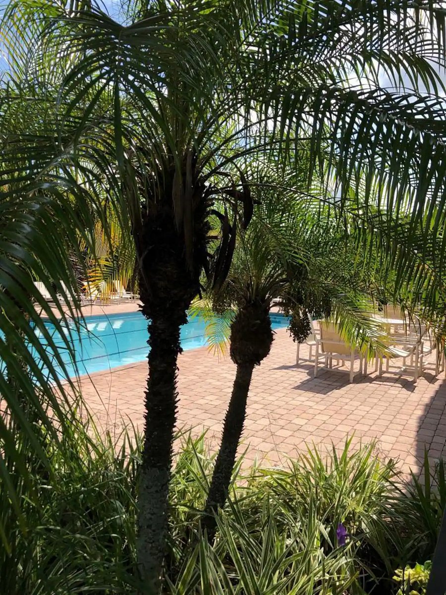 Furnished Finder property 721630_1 photo 10