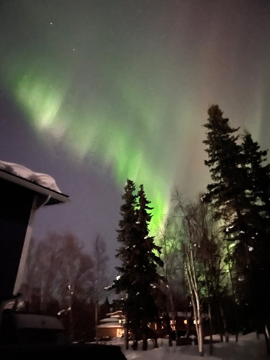 Aurora Borealis from our driveway in Anchorage