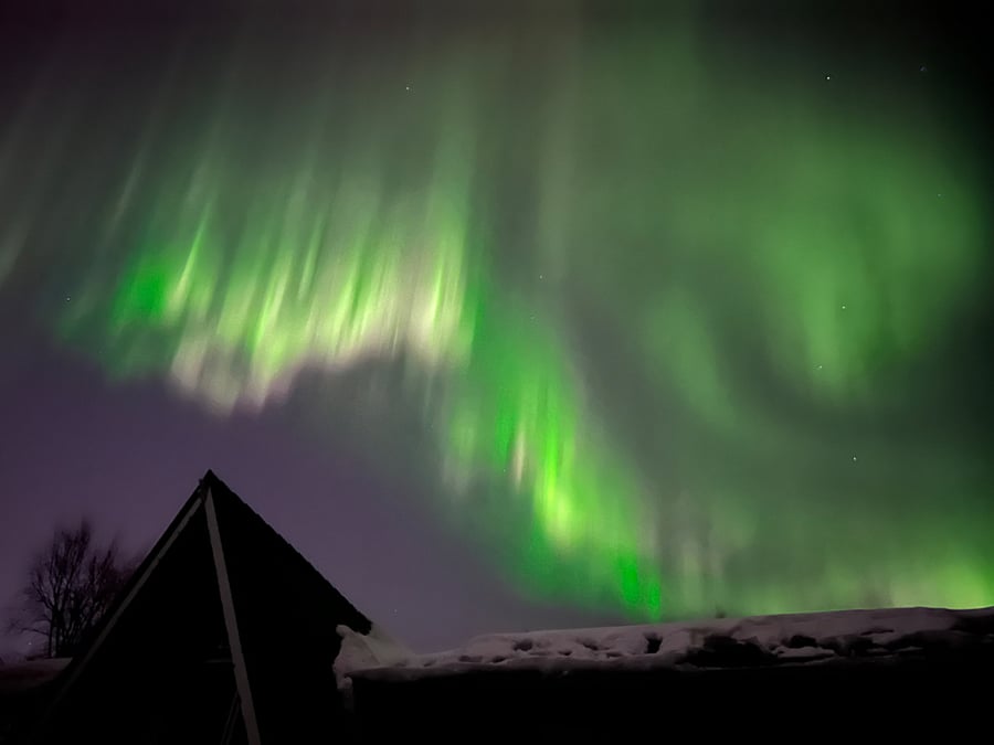 Aurora Borealis from our driveway in Anchorage