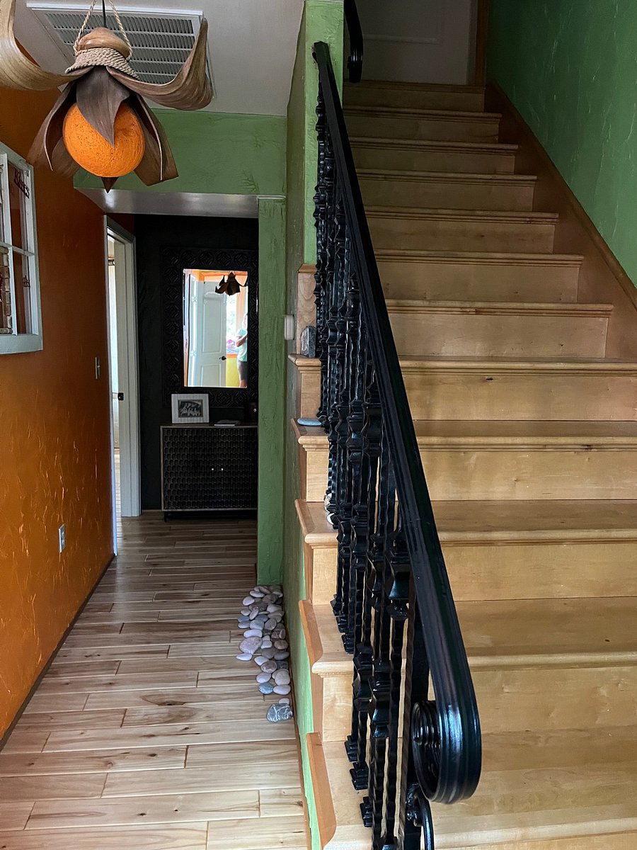 Furnished Finder property 721757_1 photo 5