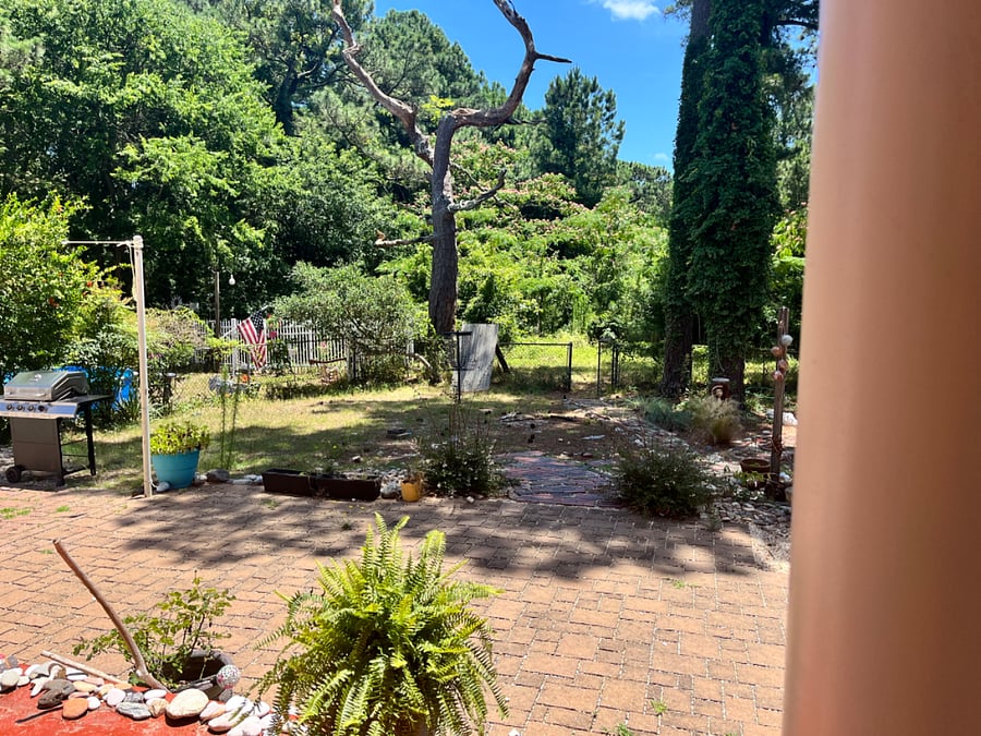 Back yard