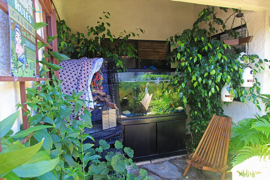 Furnished Finder property 721794_1 photo 28